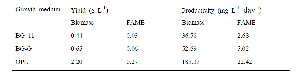 배지에 따른 바이오매스 및 FAME의 수율과 생산성 비교