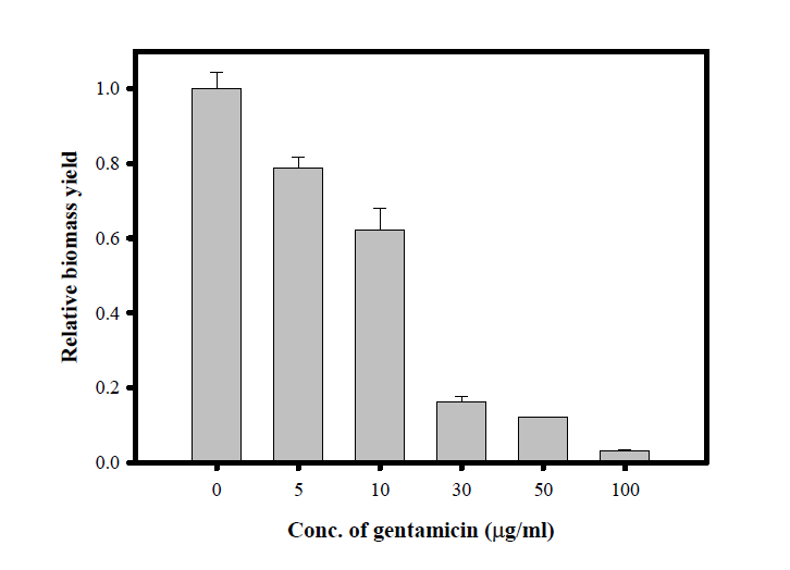 Gentamicin의 농도에 따른 Chlorella vulgaris의 relative biomass yield 변화