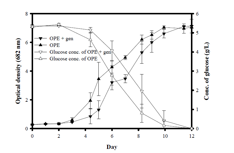 Gentamicin이 첨가된 OPE와 첨가되지 않은 OPE의 성장 곡선 및 glucose 농도 변화