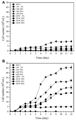 AH와 SFW를 이용한 미세조류 배양 (A) heterotrophic 그리고 (B) mixotrophic 배양