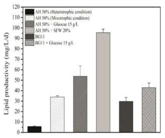 Lipid productivity