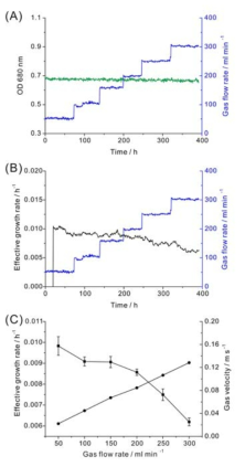 Synechocystis WT 연속 배양 하에서 가스 유속의 최적화. (a) 50에서 300 ml min-1까지 가스유속을 차례로 늘렸다. (b) 성장 속도의 변화. (c) 성장 속도(네모)와 가스 유속(원)의 관계. 탁도는 초록선, 성장 속도는 검은 선, 가스 유속은 파란 선으로 표시하였다