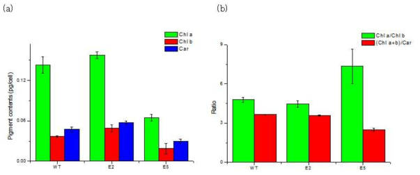 (a) Pigment contents and (b) Pigment ratio of the C. vulgaris wild-type, E2, and E5. Pigment was extracted from the cells in mid exponential phase