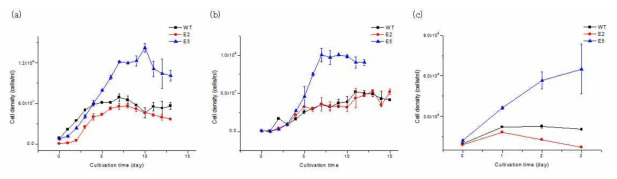 Cell density in photoautotrophic batch cultivation of C. vulgaris wild-type (WT), E2, and E5 at light intensity of (a) 100 μE, (b) 200 μE, and (c) 300 μE