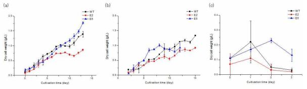 Dry cell weight in photoautotrophic batch cultivation of C. vulgaris wild-type (WT), E2, and E5 at light intensity of (a) 100 μE, (b) 200 μE, and (c) 300 μE