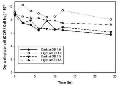 그림 OD 1.0, 1.5에서 각각 낮 주기와 밤 주기를 주었을 때의 N. gaditana의 세포 당 질량의 변화