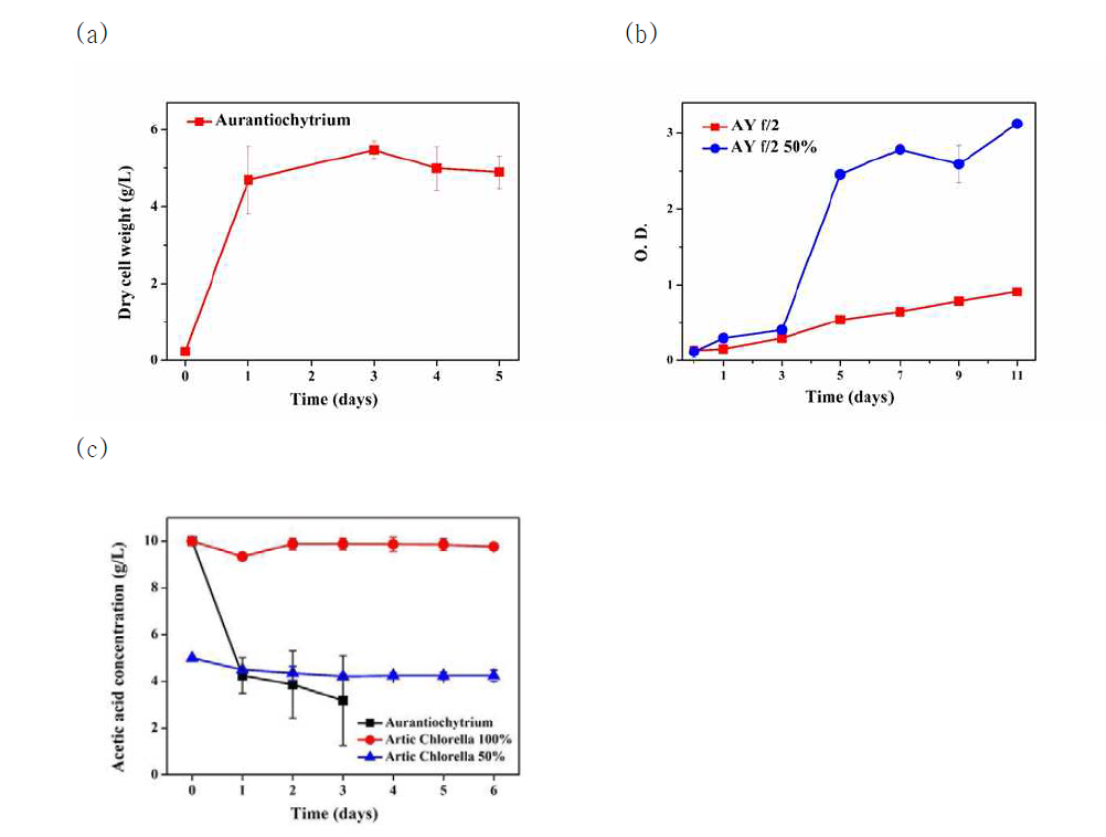 AY f/2 배지에서 Aurantiochytrium와 Artic Chlorella의 성장 및 시간에 따른 초산의 농도 변화