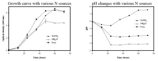 Time course of cell accumulation (O.D. 600 nm), and pH changes under various nitrogen sources. 3번 반복하여 standard error를 에러바로 만들었음