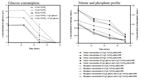 Time course of glucose, nitrate and phosphate consumption under various concentration of NaNO3. 3번 반복하여 standard error를 에러바로 만들었음