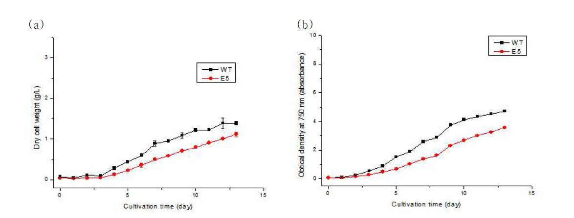 50 μE m-2 s-1에서 배양 시 (a) DCW 및 (b) 750 nm 에서의 흡광도 변화 곡선