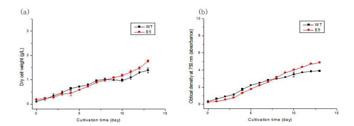 50 μE m-2 s-1에서 배양 시 (a) DCW 및 (b) 750 nm 에서의 흡광도 변화 곡선