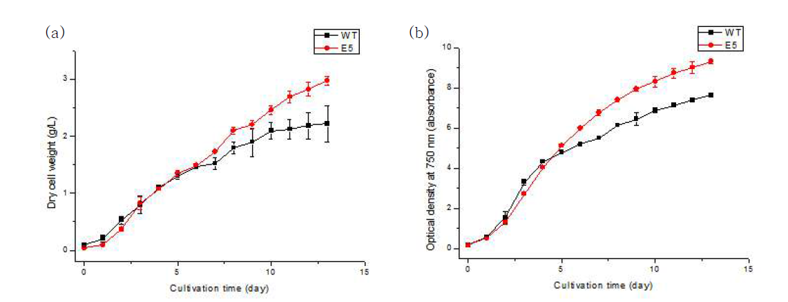 200 μE m-2 s-1에서 배양 시 (a) DCW 및 (b) 750 nm 에서의 흡광도 변화 곡선