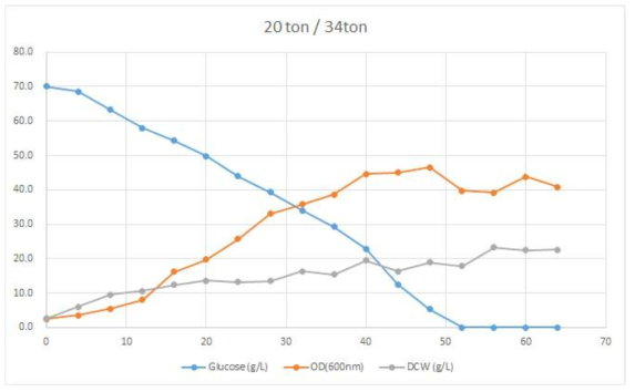 34000-L 미세조류 배양