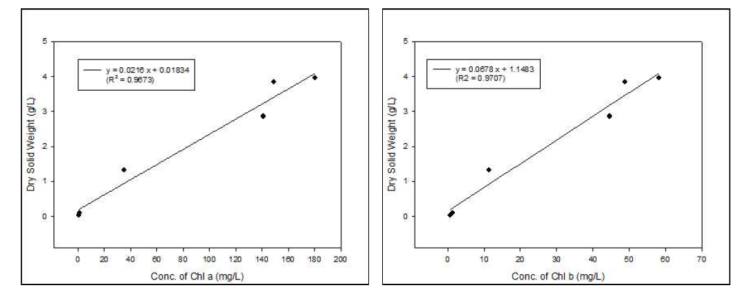 Calibration of normalized dry solid weight to final concentration of chlorophyll