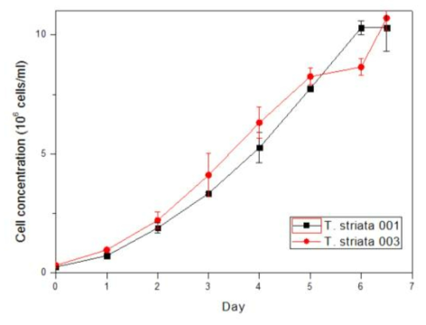 photoautotrophic condition에서 T. striata의 성장곡선