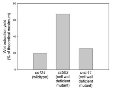 Chlamydomonas reinhardtii 배양액을 농축 없이 헥산으로 (volumetric ratio=1:1) wet extraction 했을 때 수율