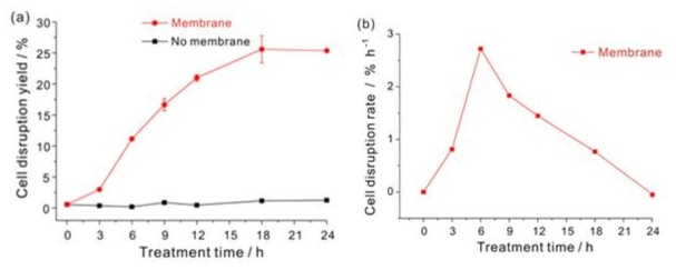 pDMAMS 코팅된 멤브레인과 배양액의 접촉 시간에 따른 (a) 세포 파쇄 수율과 (b) 세포 파쇄 속도