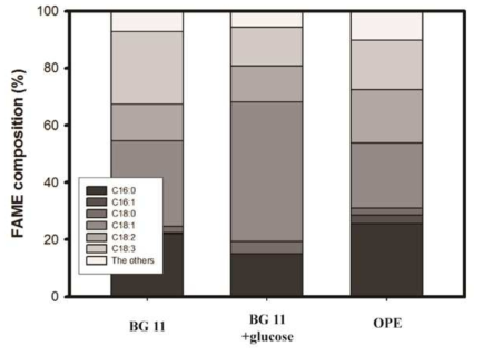 각 배양별 FAME 조성 비교