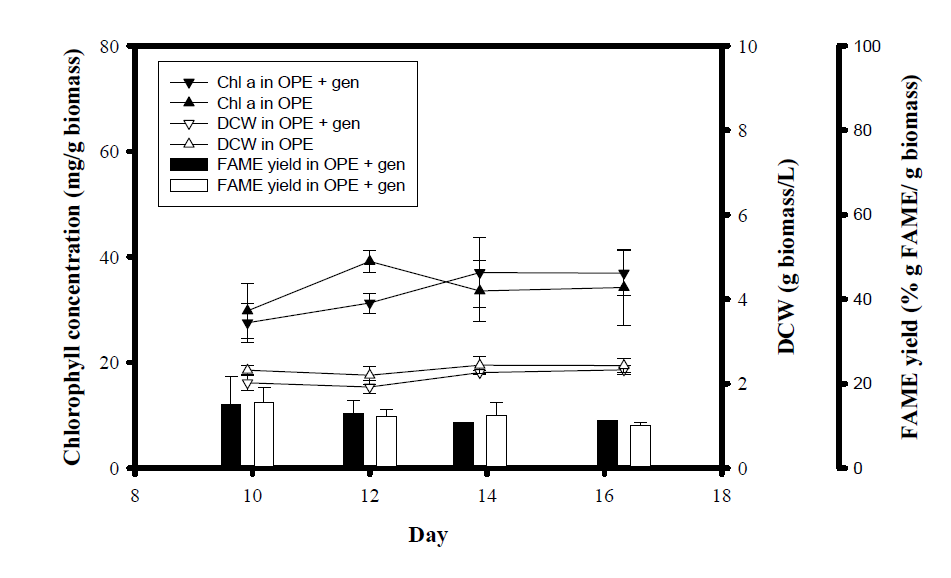 Axenic culture를 이용하여, OPE 배지 및 10 μg/ml gentamicin이 첨가된 OPE 배지에서 배양을 하였을 시 Stationary stage 이후 chlorophyll, DCW, 그리고 FAME 함량의 변화