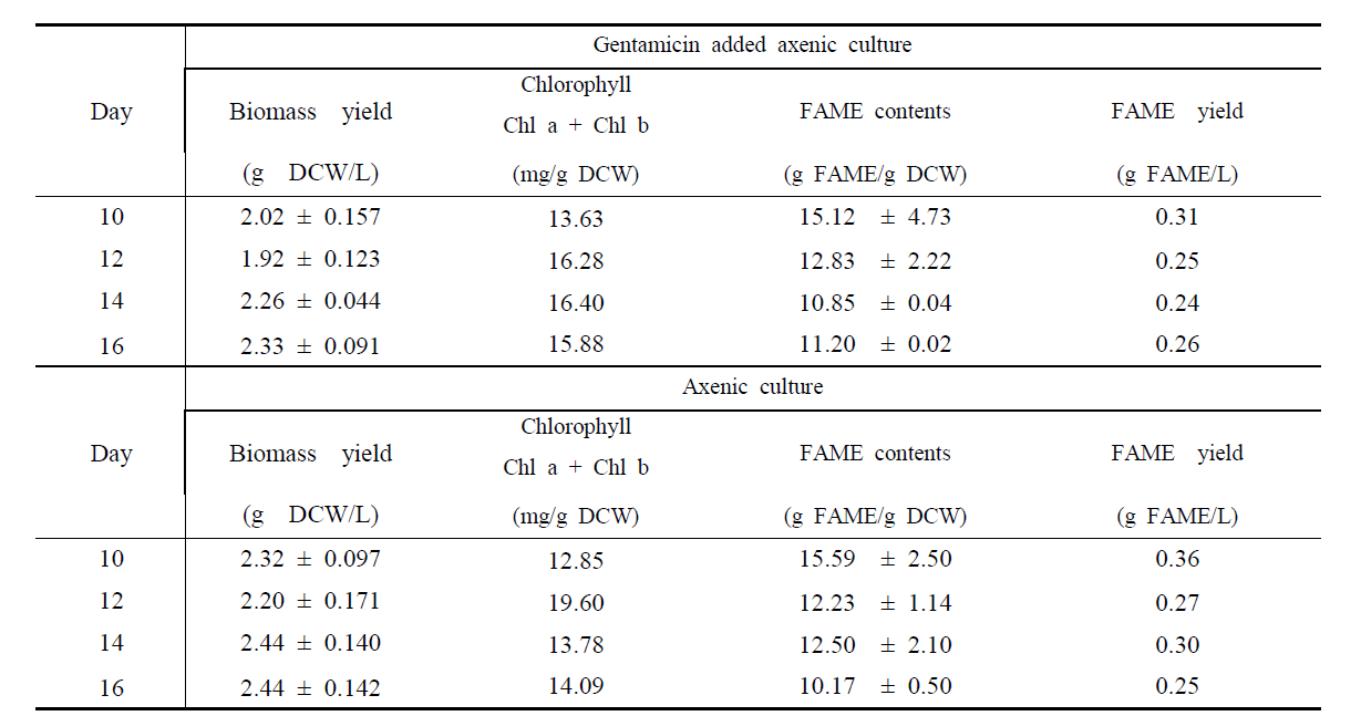 Axenic culture를 이용하여, OPE 배지 및 10 μg/ml gentamicin이 첨가된 OPE 배지에서 배양을 하였을 시 stationary 이후 biomass yield, chlorophyll yield, FAME contents, 그리고 FAME yield의 변화