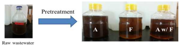 설탕공장폐수의 다양한 전처리 방법 (A: autoclave, F: 0.2 μm filtration, A w/F: filtration and autoclave)