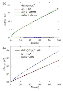 (a) 산환환원 순환을 확인하기 위한 시간대전하도, (b) AA의 영향을 알아보기 위한 시간대전하도