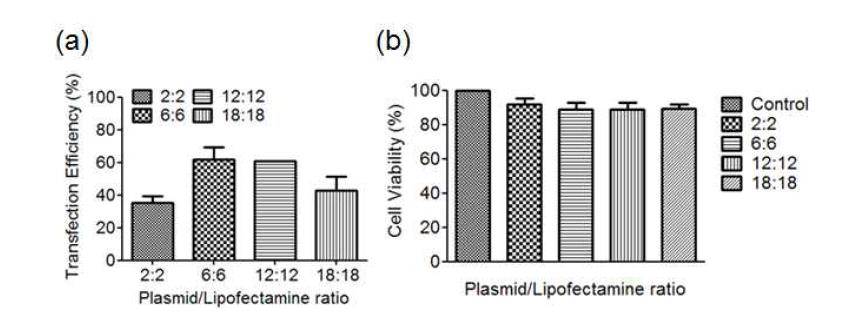 리포펙타민과 플라스미드의 비율을 1:1로 고정시키고 양을 증가시키면서 유전자 전달 효율 측정. (a) 유세포 분석기를 이용하여 유전자 전달 효율을 분석, (b) 세포 활성도 측정