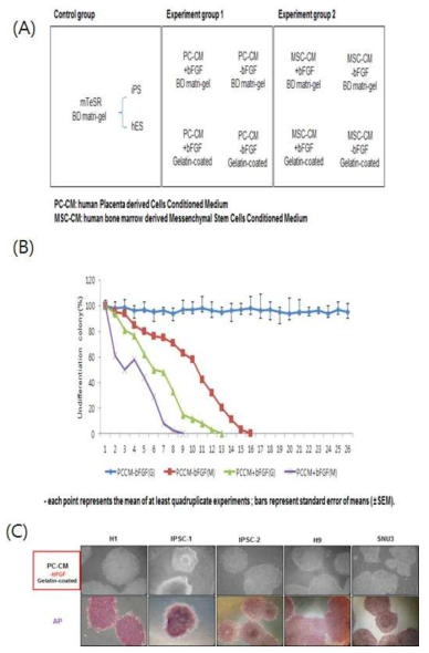 세포의 성장 조건 평가 (A) 세포 배양 조건 (B) 조건별 세포의 성장 효율 그래프 (C) 실험군에서 효과적으로 배양된 인간 줄기세포