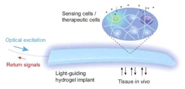 Optogenesis의 개요