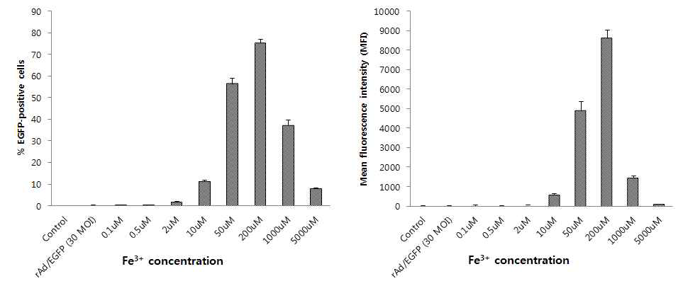 Fe3+ 농도에 따른 MSC 내, 아데노바이러스 전달 효율