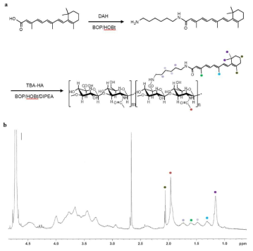 Retinoic acid-HA 유도체 합성 (a) Retinoic acid-CB[6] 유도체 합성과정 (b) Retinoic acid-CB[6] 유도체의 1H NMR 분석