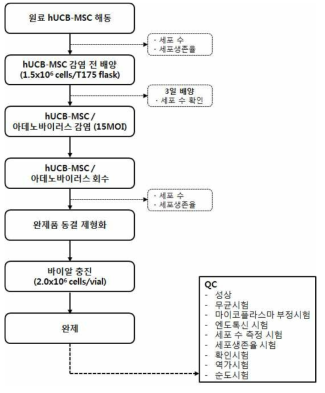 MSC/HGF 제조 공정 flow