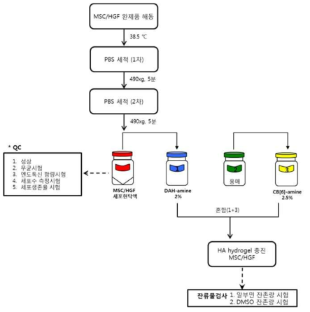 HA hydrogel 충진 MSC 치료제 제형화 공정도