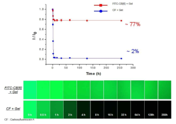 Fluorescein을 이용해 측정한 CB[6] 및 HA 유도체의 발산 속도 측정 결과