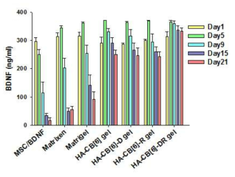 BDNF 발현 유전자를 도입하여 하이드로젤 내 줄기세포의 발현도를 분석, 비교 확인함