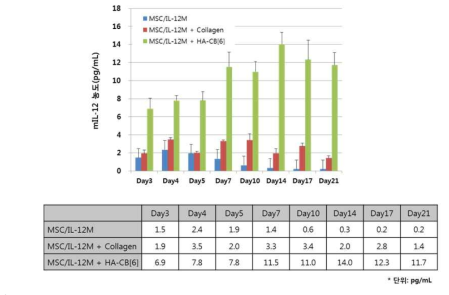 HA hydrogel 충진 MSC/IL-12M 융합 치료제 시간 경과 별 발현 지속성 확인