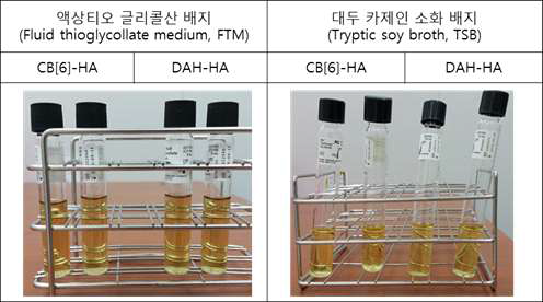 CB[6]-HA와 DAH-HA의 무균시험 결과 무균이 검출되지 않음을 확인