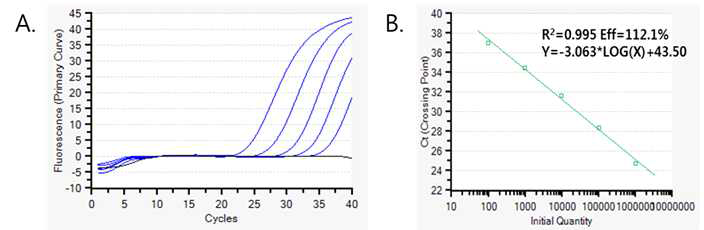 MSC 검출 Q-PCR 분석의 형광 시그널 증폭 수준과 도출된 표준 곡선