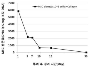 마우스 종양 내 MSC 단회 투여 후, 시간경과에 따른 MSC 잔존량