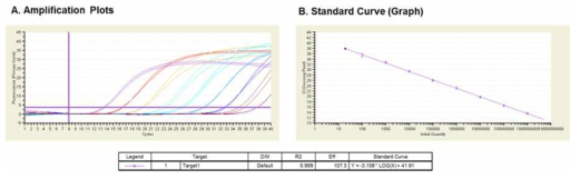 MSC/HGF 검출 Q-PCR 분석의 형광 시그널 증폭 수준과 도출된 표준 곡선