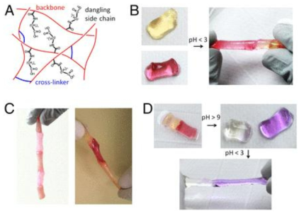 셀프힐링 하이드로젤 출처 :　PNAS, 2012, 109, 4383–4388