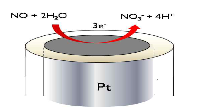 전기화학적 방식을 이용한 Pt 전극에서의 NO 감응원리