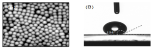 A) 17FTMS 나노입자가 코팅된 나노구조 표면의 AFM image와 B) 이를 이용하여 구현된 초친유성 표면의 물방울에 대한 접촉각 측정 사진