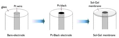 전극표면에 Pt black 및 sol-gel 막 도입