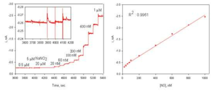 친유성 투과막을 도입한 전극에서 NO에 대한 감응곡선(좌)와, 검정곡선(우)