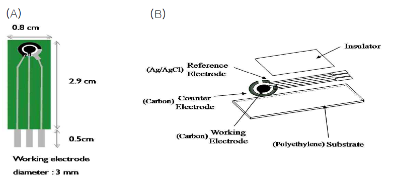 Screen-Printed Carbon Electrode (SPCE)의 (A) 모식도와 (B) 분해사시도