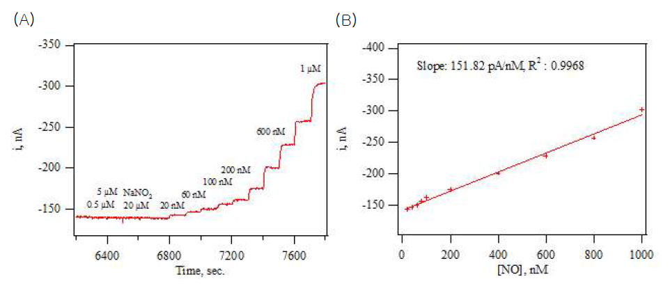 표면 처리한 SPCE 전극에서 NO에 대한 (A) 감응곡선 및 (B) 검정곡선