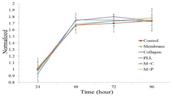 배양 후 시간경과에 따른 MTT assay 결과