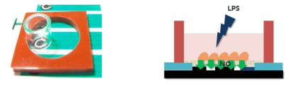 (좌) Cloning cylinder를 이용하여 평판형 센서의 전극표면에 직접 cell을 배양 (우) LPS 자극에 따른 실시간 NO 분비 측정용 평판형 센서 개념도