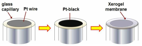 전극표면에 Pt black 및 sol-gel 막 도입